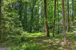 1965 Hwy 52 E, Ellijay, GA 30536 - Photo 42