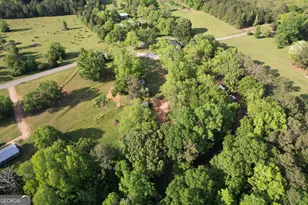 215 Brown Springs Rd, Milner, GA 30257 - Photo 88
