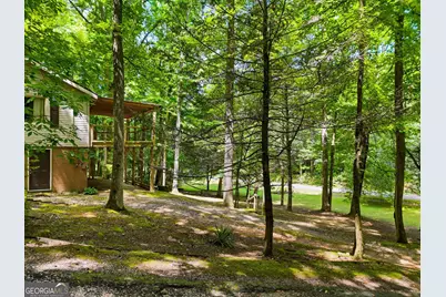 629 Goose Island Road, Cherrylog, GA 30522 - Photo 44
