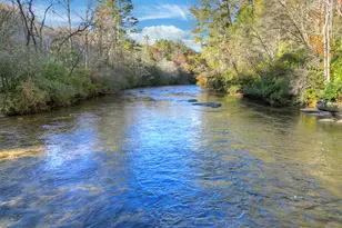 505 River Ridge Rd, Blue Ridge, GA 30513 - Photo 76
