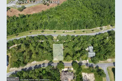 Lot 6 Blue Heron Trail, Waverly, GA 31565 - Photo 4