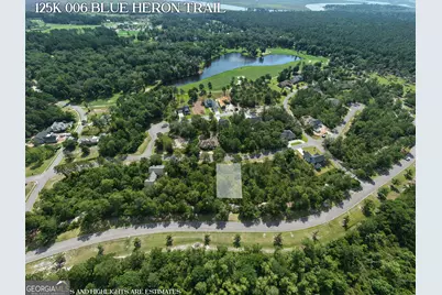 Lot 6 Blue Heron Trail, Waverly, GA 31565 - Photo 6