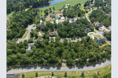 Lot 6 Blue Heron Trail, Waverly, GA 31565 - Photo 10