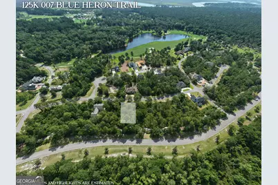 Lot 7 Blue Heron Trail, Waverly, GA 31565 - Photo 6