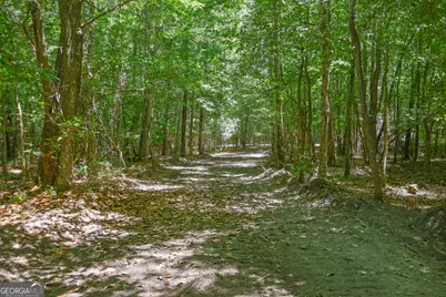 232 Crane Road, Cochran, GA 31014 - Photo 2