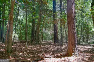 232 Crane Rd, Cochran, GA 31014 - Photo 1