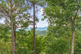 280 Palmetto Dr, Ellijay, GA 30540 - Photo 8