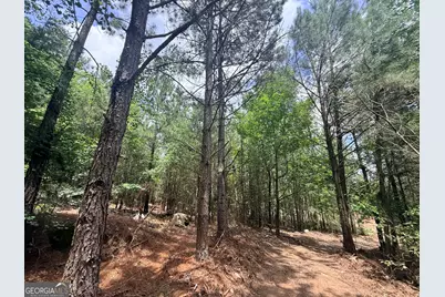 2787 Cedar Creek Rd, Elberton, GA 30635 - Photo 54