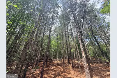 2787 Cedar Creek Rd, Elberton, GA 30635 - Photo 52