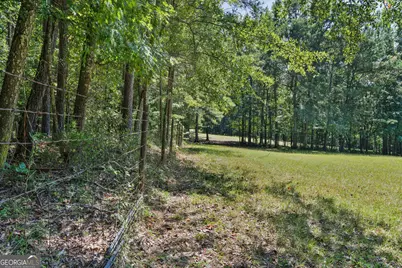369 Abares Road, Forsyth, GA 31029 - Photo 48