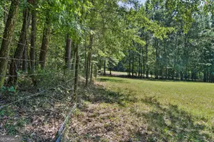 369 Abares Rd, Forsyth, GA 31029 - Photo 48