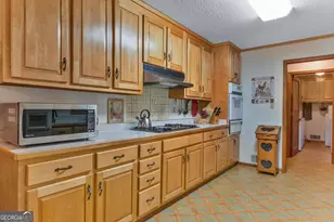 369 Abares Rd, Forsyth, GA 31029 - Photo 14
