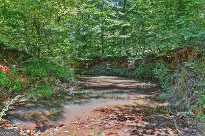 369 Abares Road, Forsyth, GA 31029 - Photo 50