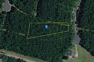 1110 Flora Pl, Townsend, GA 31331 - Photo 1