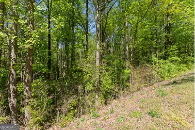 4 Woods Bridge Road #LOT 4, Commerce, GA 30529 - Photo 6