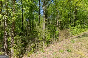 4 Woods Bridge Rd, Commerce, GA 30529 - Photo 6
