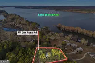 170 Gary Brewer Rd, Cobb, GA 31735 - Photo 50