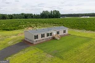 244 Ivey Hall Clark Rd, Garfield, GA 30425 - Photo 2