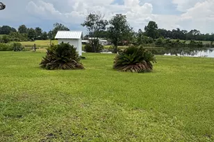 2892 Savannah Hwy, Sylvania, GA 30467 - Photo 6