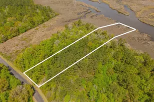 Lot 45 Matthews Launch, White Oak, GA 31568 - Photo 1