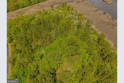 Lot 45 Matthews Launch, White Oak, GA 31568 - Photo 2