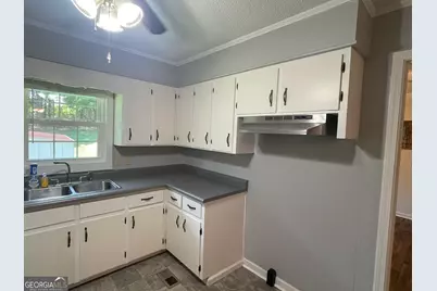 16067 Highway 59, Carnesville, GA 30521 - Photo 6