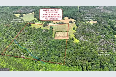 00001 Melear Road, Bowdon, GA 30108 - Photo 4