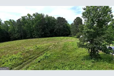 00001 Melear Road, Bowdon, GA 30108 - Photo 30