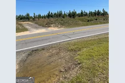 0 Abbeville Highway, Eastman, GA 31023 - Photo 6
