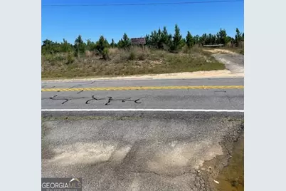 0 Abbeville Highway, Eastman, GA 31023 - Photo 4