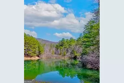 0 Golden Delicious Road, Clarkesville, GA 30523 - Photo 1