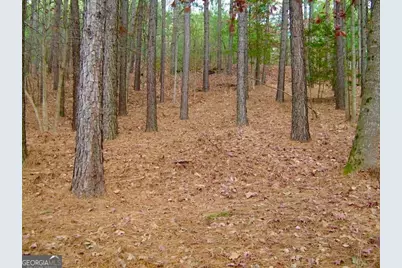 0 Golden Delicious Road, Clarkesville, GA 30523 - Photo 6