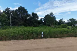 0 Griffin Rd, Baxley, GA 31513 - Photo 1