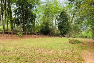 69 4th St, Newnan, GA 30263 - Photo 32