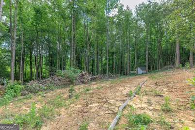 200 Wallaceville Cemeter Road, Chickamauga, GA 30707 - Photo 34