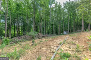200 Wallaceville Cemeter Rd, Chickamauga, GA 30707 - Photo 34