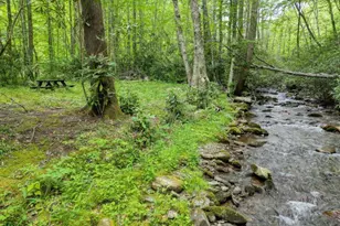 180 Dream Catcher Cove, Hayesville, NC 28904 - Photo 14