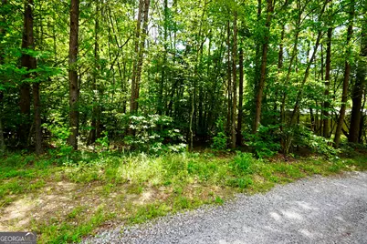 238 &amp; 248 Cain Bridge Heights, Dahlonega, GA 30533 - Photo 10
