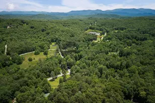 190 Laurel Crossing, Blue Ridge, GA 30513 - Photo 28