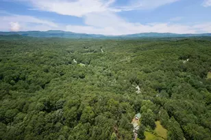 190 Laurel Crossing, Blue Ridge, GA 30513 - Photo 30