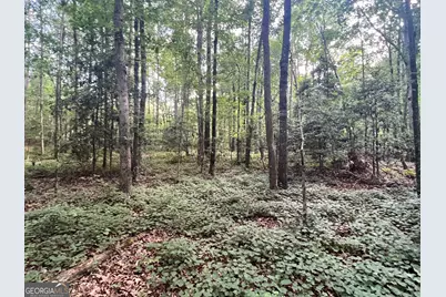 0 Craft Ferry Drive, Elberton, GA 30635 - Photo 1