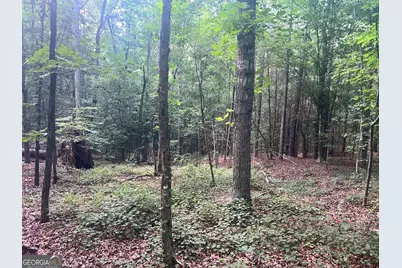 0 Craft Ferry Drive, Elberton, GA 30635 - Photo 6