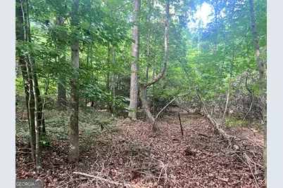 0 Craft Ferry Drive, Elberton, GA 30635 - Photo 18