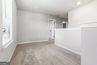 11688 Brightside Parkway, Hampton, GA 30228 - Photo 32