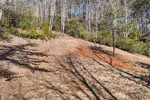 120 Ridgeland, Sautee Nacoochee, GA 30571 - Photo 66