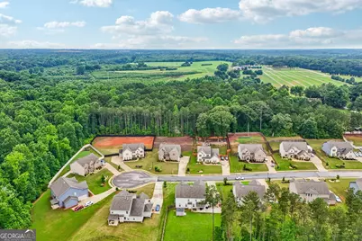 415 Traditions Lane, Hampton, GA 30228 - Photo 66