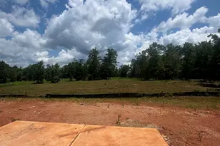 349 Andrews Mill Rd, Greenville, GA 30222 - Photo 6