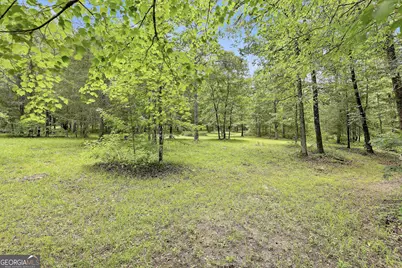 207 Steeplechase, Barnesville, GA 30204 - Photo 50