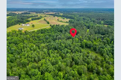207 Steeplechase, Barnesville, GA 30204 - Photo 70
