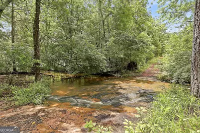 207 Steeplechase, Barnesville, GA 30204 - Photo 46